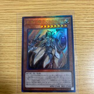 教導の騎士フルルドリス