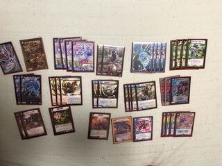 アナカラーシャコガイル〜値下げ可能〜