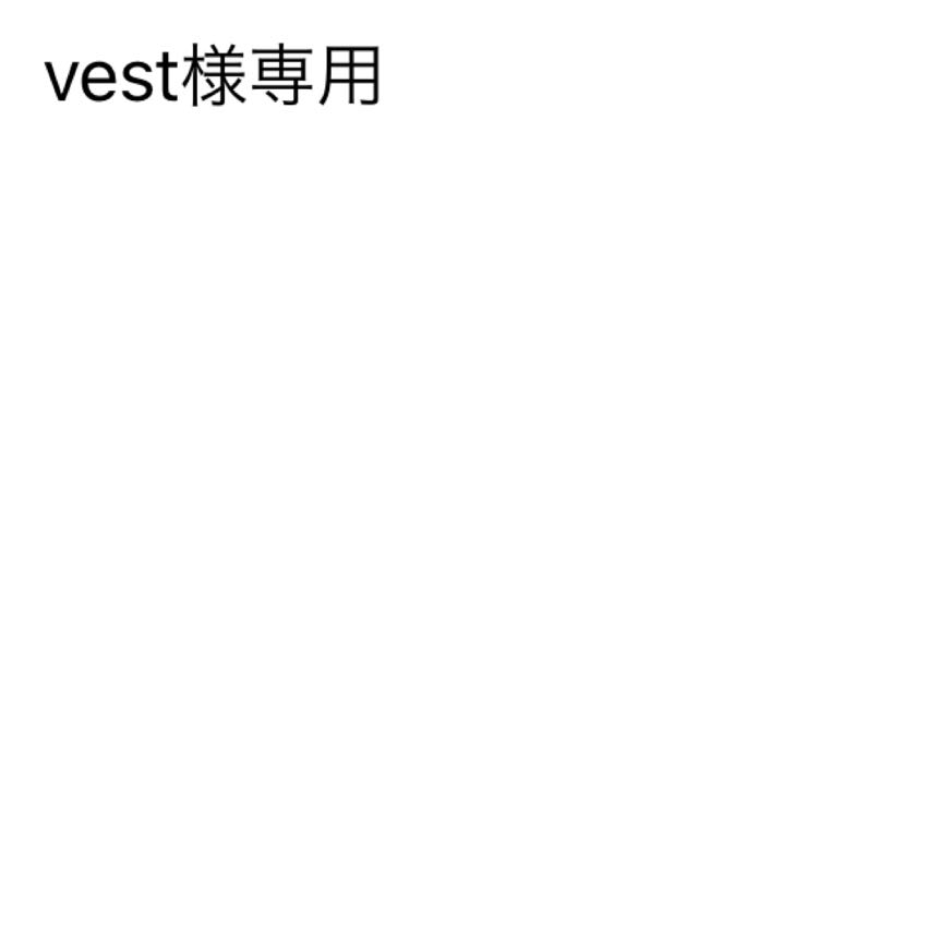 vest様専用 1枚