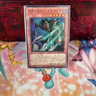 No.2016 P屋　迷宮に潜むシャドウグール【スーパー】