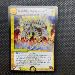 496 山室　真実の名タイガー・レジェンド