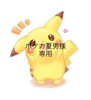 100 units of Oripa for the exclusive use of Mr. Pokeka Natsuo