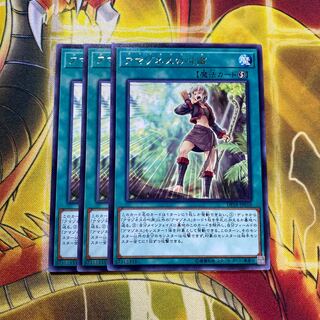 アマゾネスの叫声