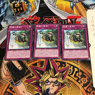 森羅の滝滑り PRIO 1 ノーマル 3枚セット てら