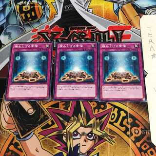 積み上げる幸福 DE01 2 ノーマル 3枚セット てら