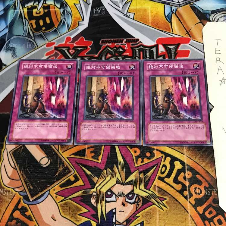 絶対不可侵領域 301 1 ノーマル 3枚セット てら