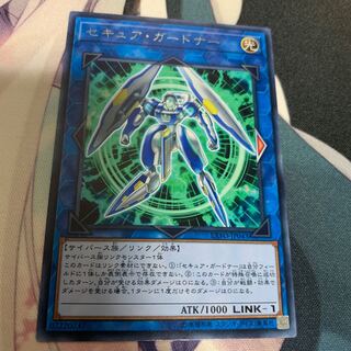 セキュアガードナー