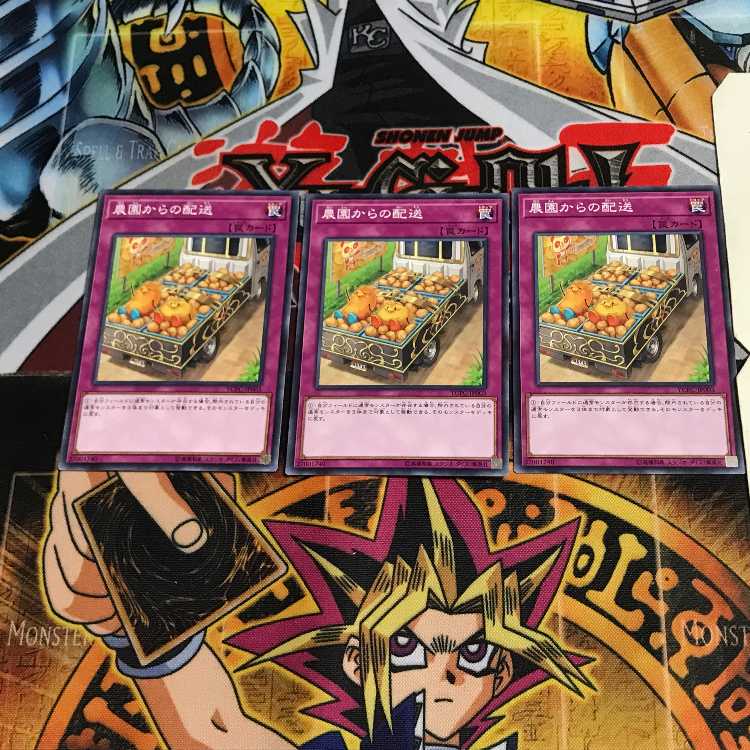 農園からの配送 YCPC 1 ノーマル 3枚セット てら