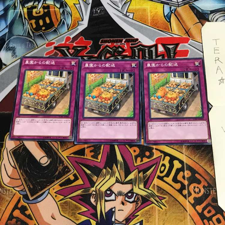 農園からの配送 YCPC 2 ノーマル 3枚セット てら