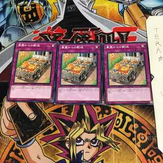 農園からの配送 YCPC 2 ノーマル 3枚セット てら