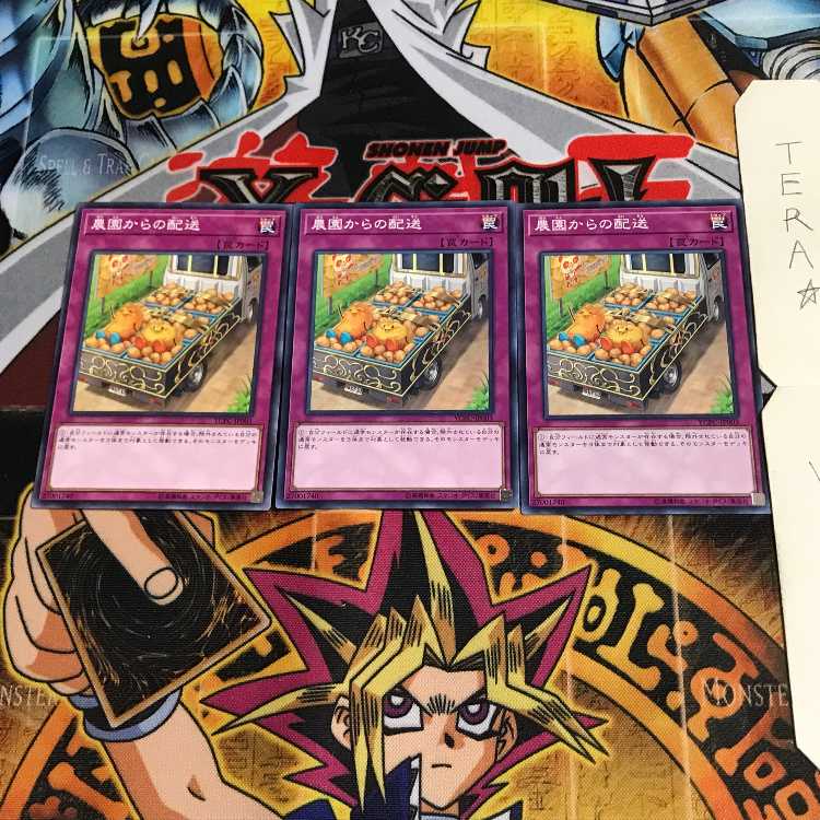 農園からの配送 YCPC 3 ノーマル 3枚セット てら