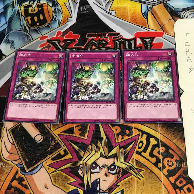 肥大化 RATE 2 ノーマル 3枚セット てら