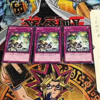 肥大化 RATE 2 ノーマル 3枚セット てら