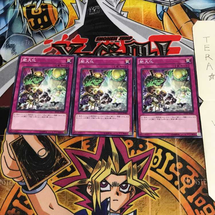 肥大化 RATE 3 ノーマル 3枚セット てら