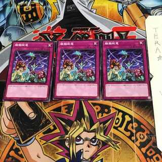 魍魎跋扈 PHRA 2 ノーマル 3枚セット てら