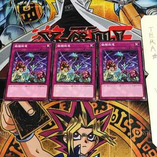 魍魎跋扈 PHRA 3 ノーマル 3枚セット てら