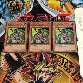 Elemental HERO Wildheart EEN 1 Normal Set of 3 Tera 3枚