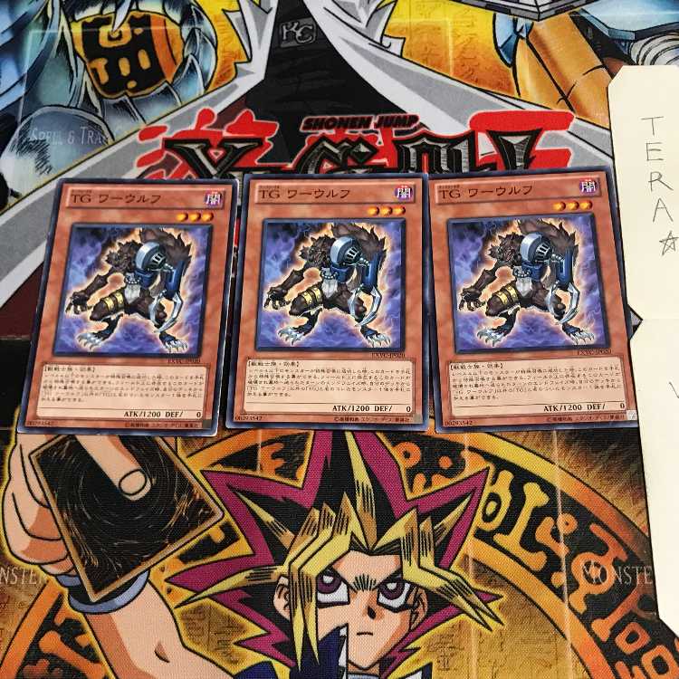 T.G. Warwolf EXVC 6 Normal, set of 3 Tera.