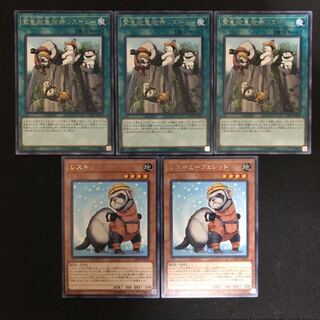 緊急救急救命レスキュー　レスキューフェレット　5枚