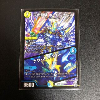 天命龍装ホーリーエンド