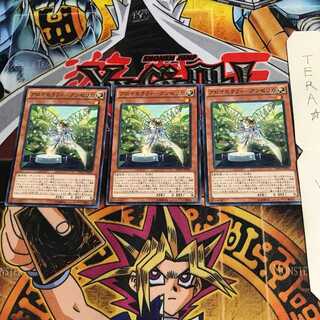 Aromatheraphy - Angelica INOV 2 Normal, set of 3 Tera