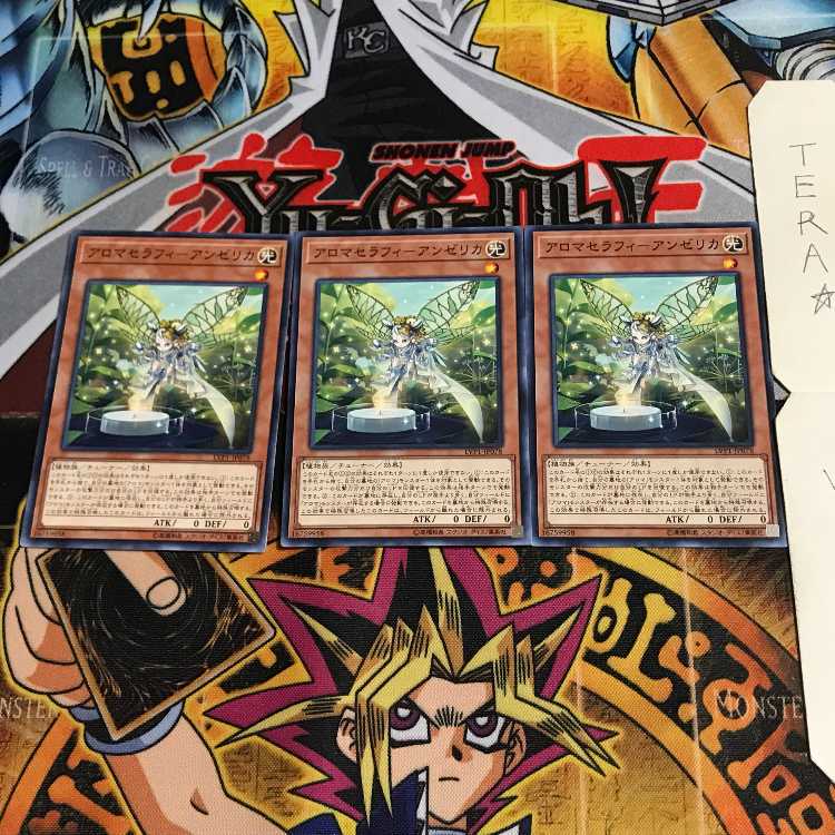 Aromatheraphy - Angelica INOV 4 Normal, set of 3 Tera.