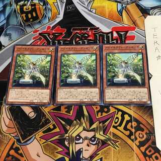 Aromatheraphy - Angelica INOV 4 Normal, set of 3 Tera.