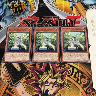 アロマセラフィ-アンゼリカ INOV 5 ノーマル 3枚セット てら