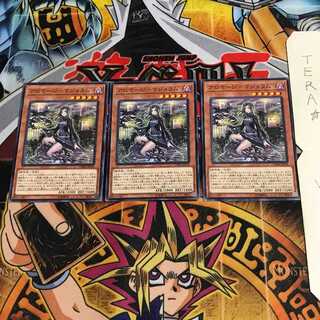 Aromage - Marjoram CHIM 1 Normal, set of 3 Tera.