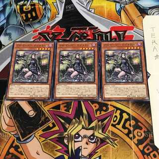 Aromage - Marjoram CHIM 2 Normal, set of 3 Terra