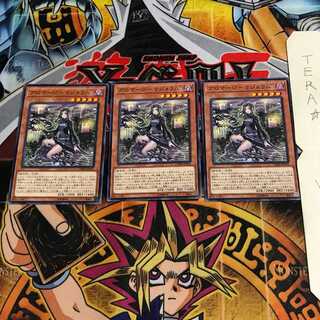 Aromage - Marjoram CHIM 3 Normal, set of 3 Tera