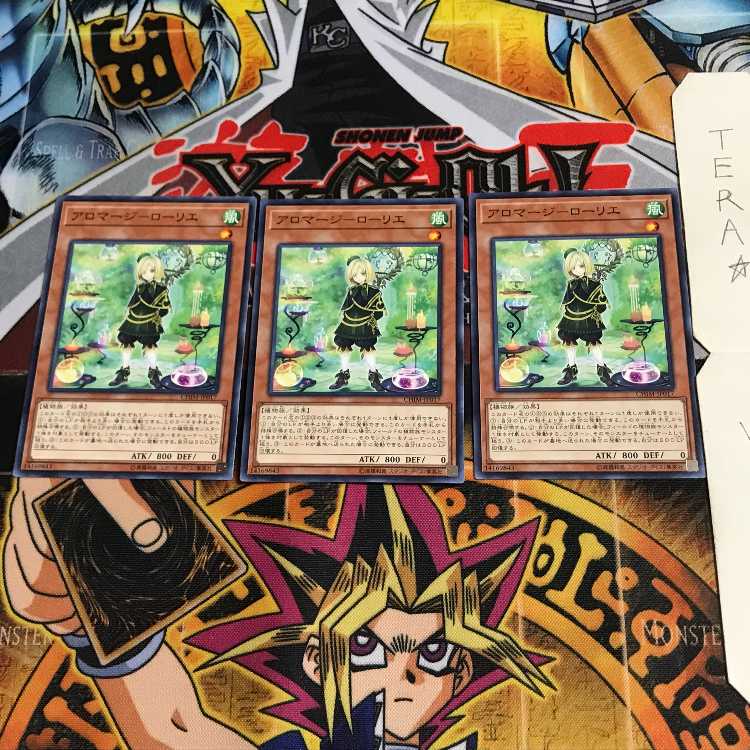 Aromage - Laurier CHIM 3 Normal, set of 3 Tera