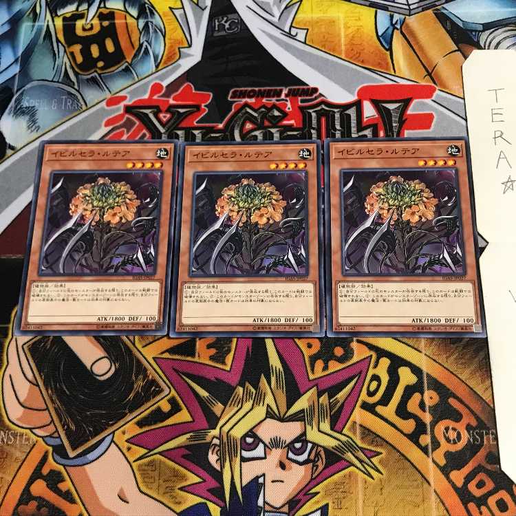 イビルセラ・ルテア IGAS 1 ノーマル 3枚セット てら