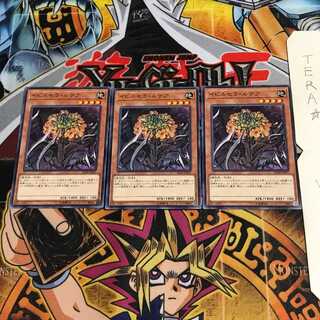 イビルセラ・ルテア IGAS 1 ノーマル 3枚セット てら