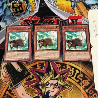 おとぼけオポッサム DREV 2 ノーマル 3枚セット てら