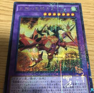 天翔の竜騎士ガイア