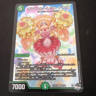 Cheer Scarlet Whitney SR S8/S8