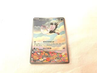 Ptarmigan AR 089/078