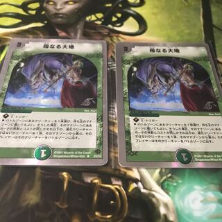 母なる大地 2枚セット