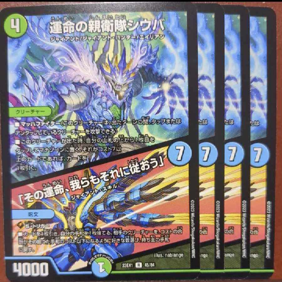 dvb set discount shiba, the SS of fate｜"Its fate, we shall follow it" R 45/84