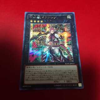 十二獣ドランシア アジアシークレット