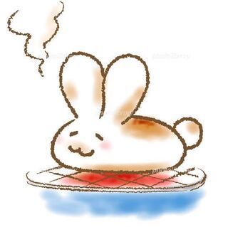 カナヘビ様　専用