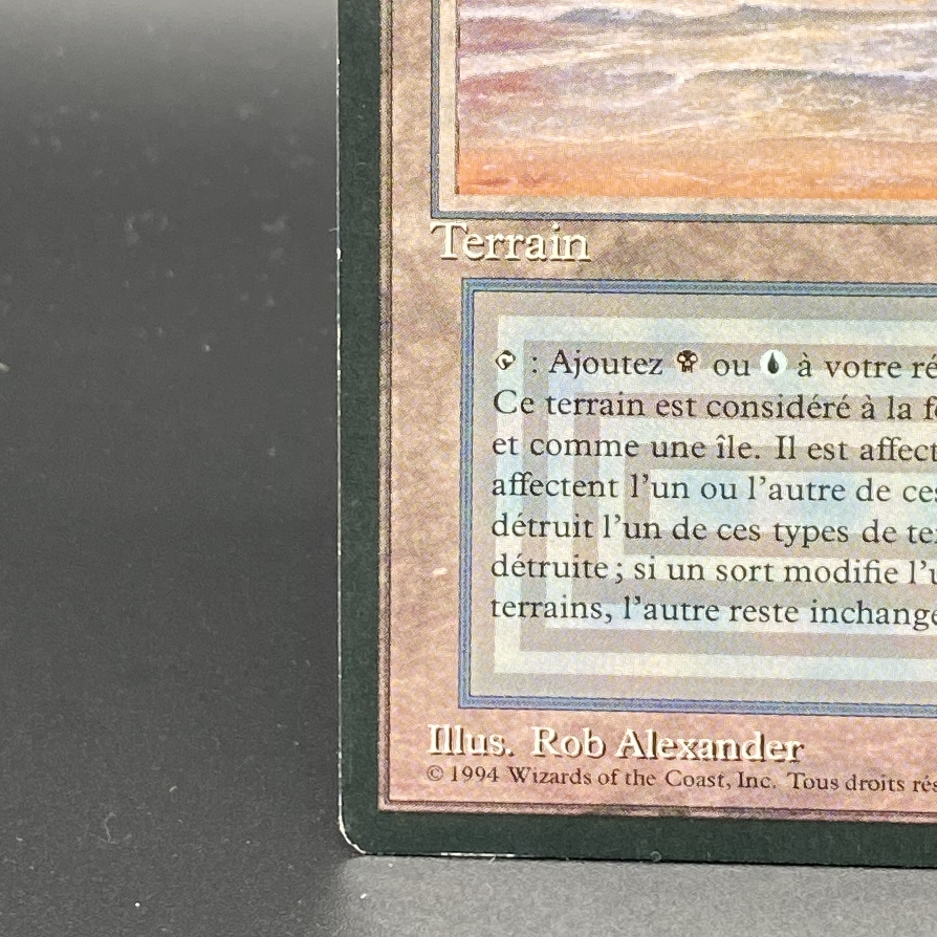 Underground Sea / Mer souterraine Multiple languages 1枚