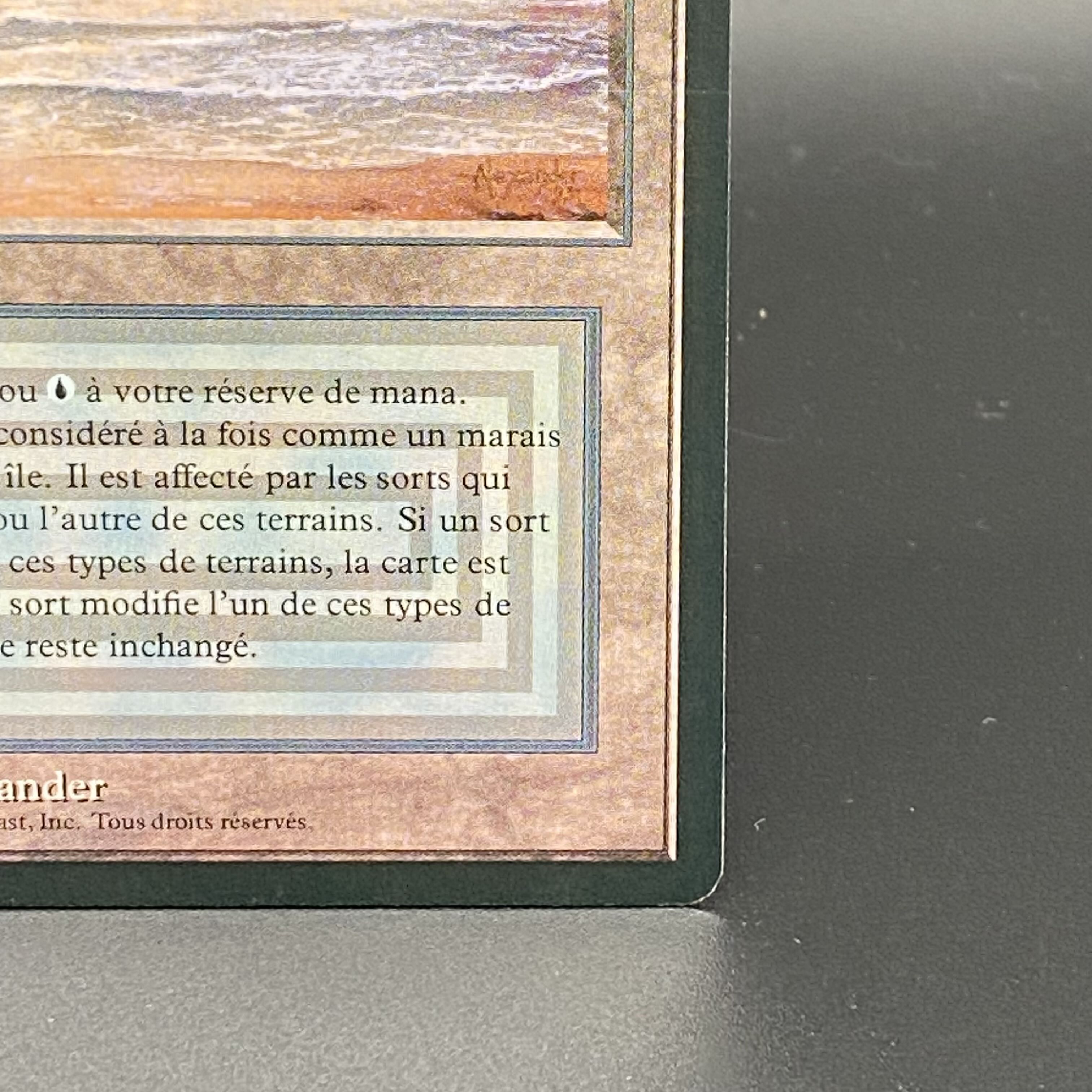 Underground Sea / Mer souterraine Multiple languages 1枚