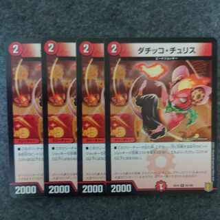 Datikko Chu Squirrel R 93/100