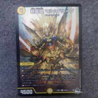 新星姫 マルシドループ SR S2/S8