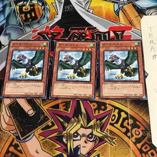 ガスタ・コドル GENF 3 ノーマル 3枚セット てら