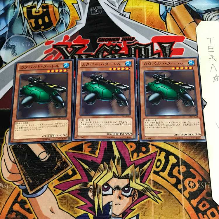 Catapult Turtle 15AY 1 Normal Set of 3 Tera