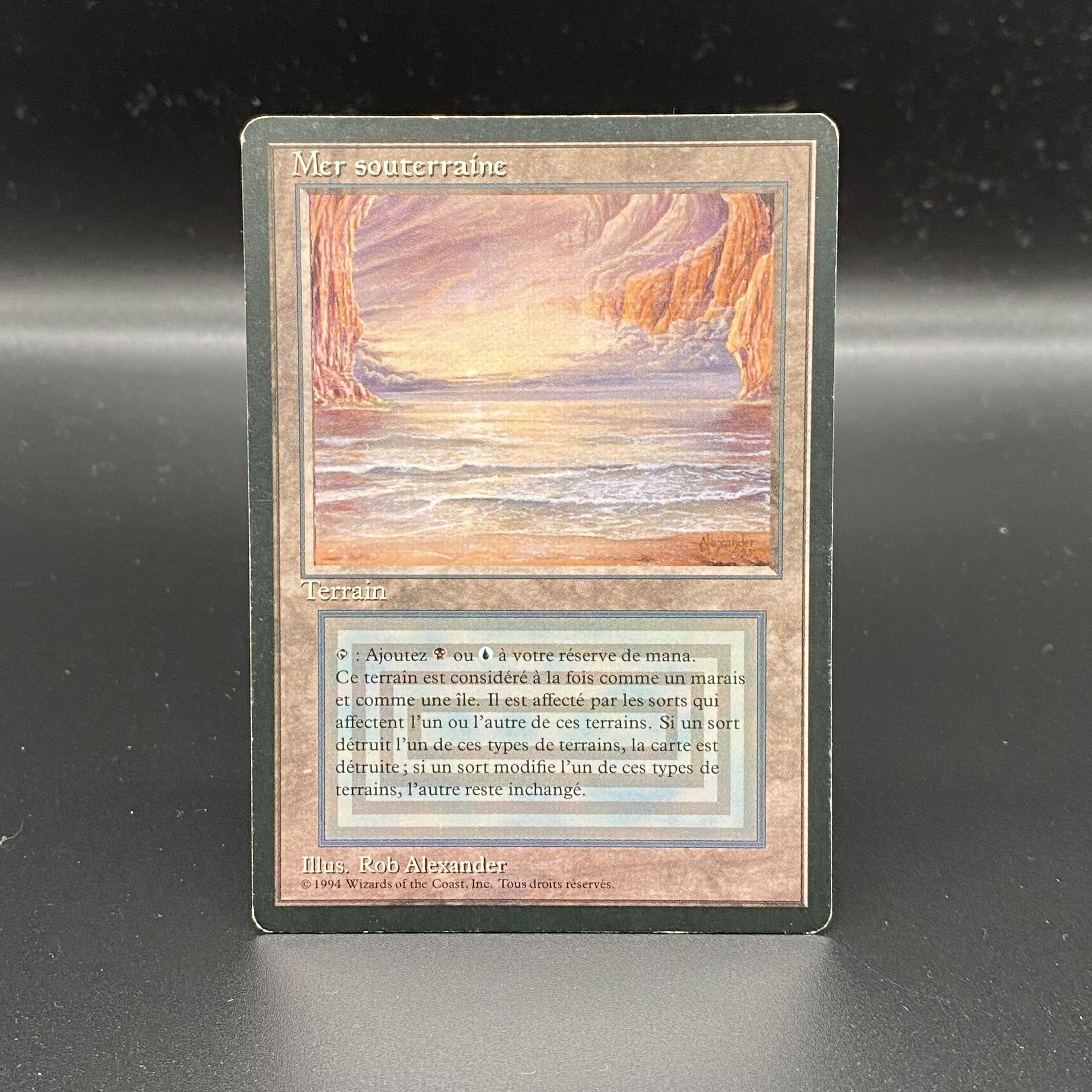 Underground Sea / Mer souterraine Multiple languages 1枚