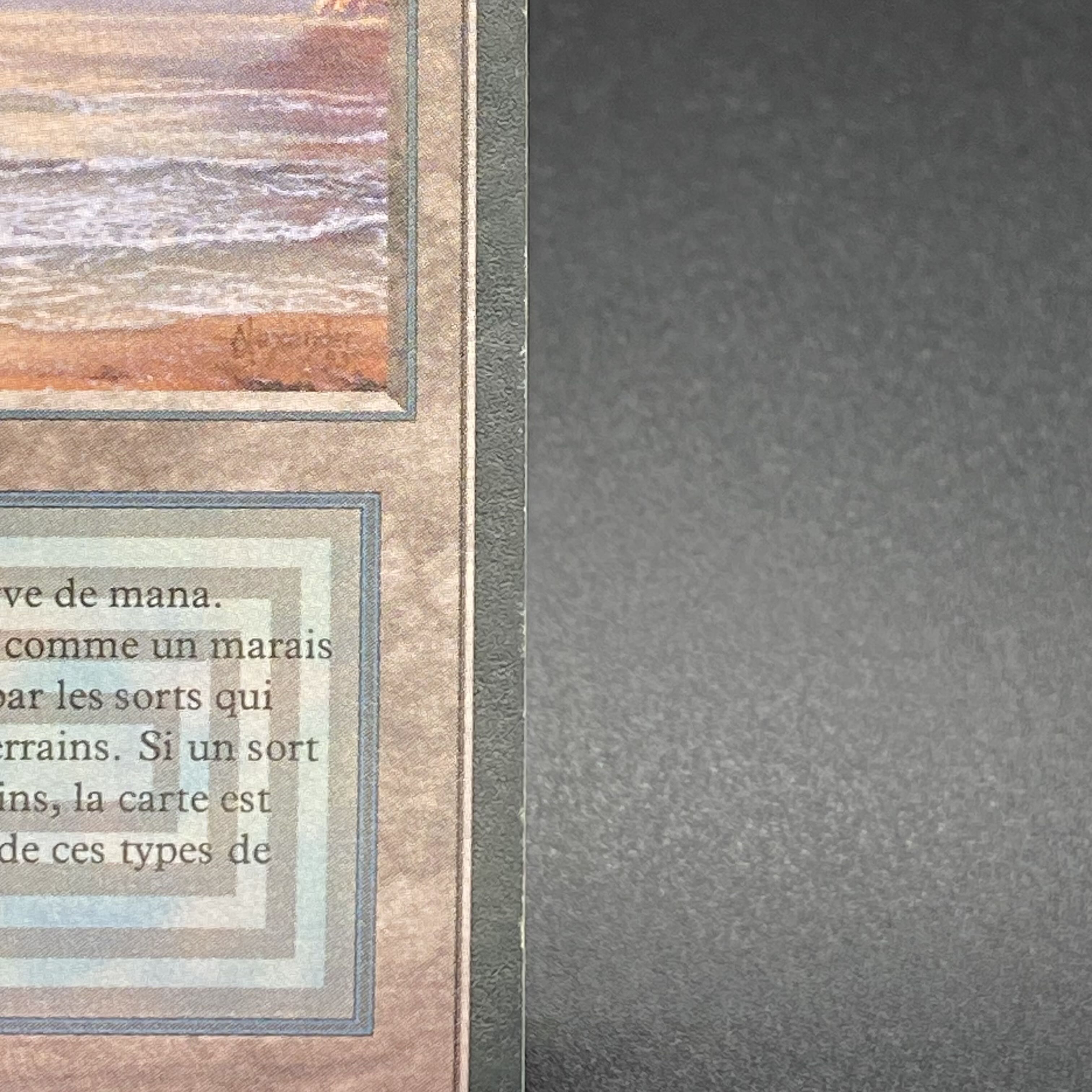 Underground Sea / Mer souterraine Multiple languages 1枚